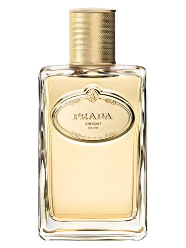 Prada Infusion d'Iris Eau de Parfum Absolue perfume bottle