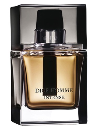 Dior Dior Homme Intense 2007 perfume bottle