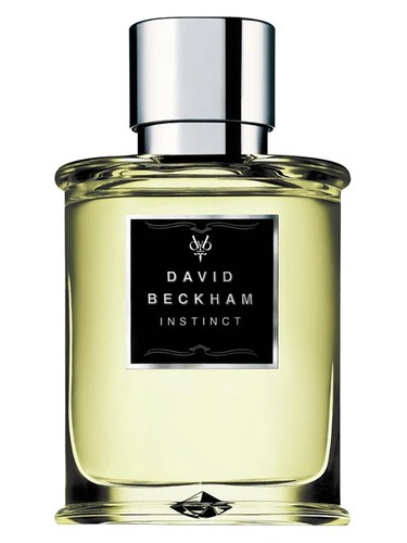 David Beckham Instinct perfume bottle