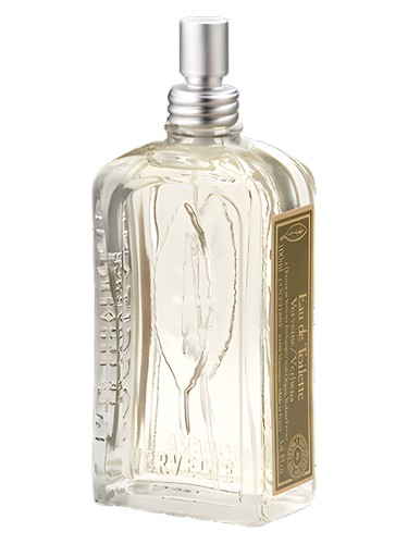 L'Occitane en Provence Verveine perfume bottle