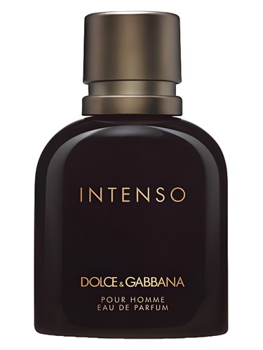 Dolce&Gabbana Dolce&Gabbana Pour Homme Intenso perfume bottle