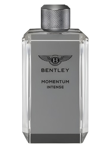 Bentley Momentum Intense perfume bottle