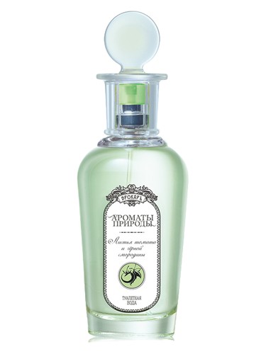Brocard Листья томата и черной смородины - Tomato and Black Currant Leaves perfume bottle