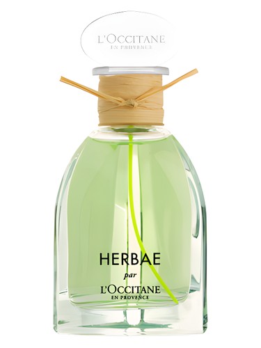 L'Occitane en Provence Herbae perfume bottle