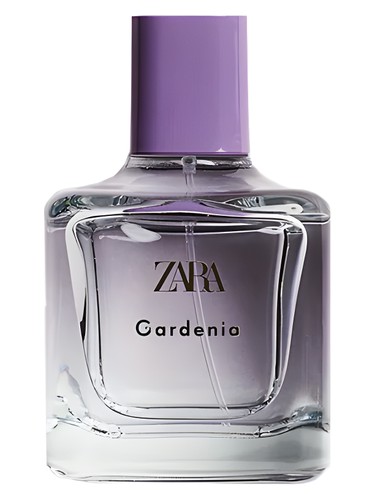 Zara Gardenia perfume bottle